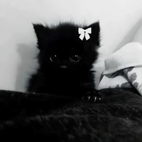 Hệ thống [kuyin]