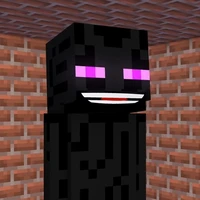 Enderman👾