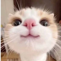 hệ thống 001-Cat