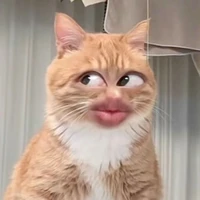 HT mồn lèo