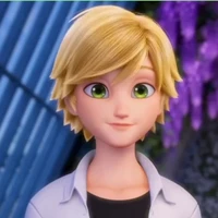 adrien agreste