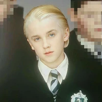 Draco Lucius Malfoy.