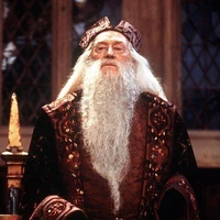 Albus Percival Wulfric Brian Dumbledore.