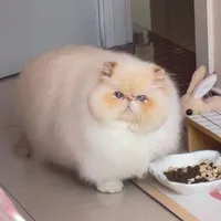 Tác giả