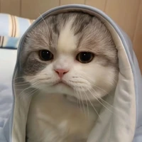 Bông