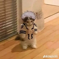 chủ tus