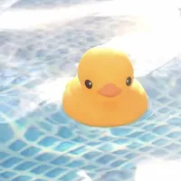 _𝙍𝙚𝙖𝙙𝙚𝙧_