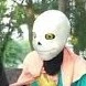 dream sans