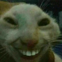 t/g bell(nói là con quỷ cx đc)