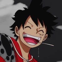 Monkey •D• Luffy
