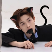 Hệ thống cuteee