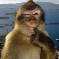 nô lệ điểm số 