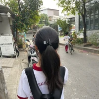 Trần Lê Trâm Anh