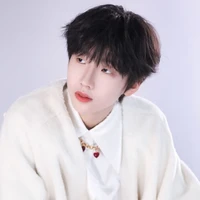 Nhiếp Vĩ Thần - Nhiếp