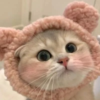 Hệ Thống Trói Buộc