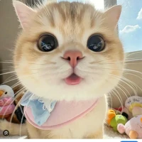 cam