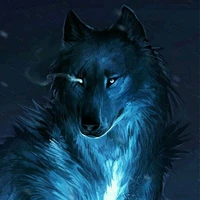 kaidy Sói bóng tối