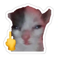 giáo viên chủ nhiệm