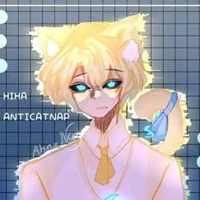 anti catnap