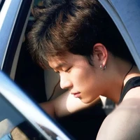 dương domic