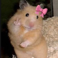 Chuột 🐭