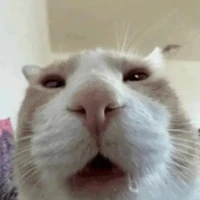 Có truyện gì hay! Gửi ngay vô đây!