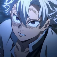  Shinazugawa Sanemi 