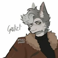 gasket(top 9)