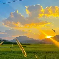 hệ thống viết thế giới đn