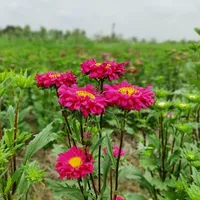 Con người bí ẩn😎😎😎