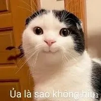 Tinh Vân/TG báo đời