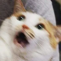 all trừ ai thì trừ