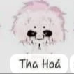 tha hoá