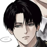 Levi