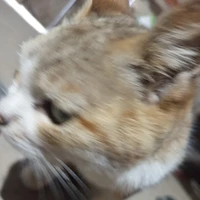 all nhân vật trừ ai thì trừ người ấy