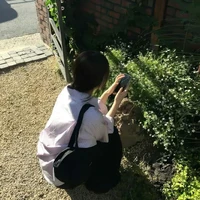 Nguyễn Mai Quỳnh Anh