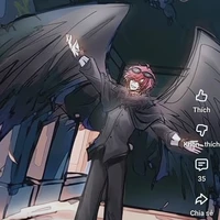 hiha crow
