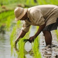 Quang - Cha Quang Anh