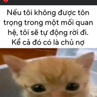 T/g cute