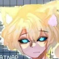 Hiha Anti Catnap