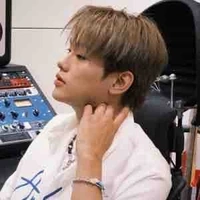 Bùi Trường Linh-Buitruonglinh