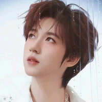 Hạ Tuấn Lâm