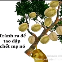 hệ thống 029