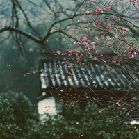 Má Lưu