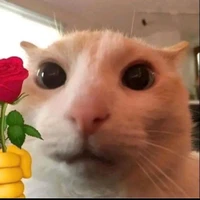 Rin(cốt của t/g)