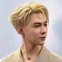 Bùi Anh Tú