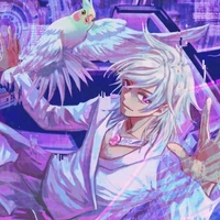 hiha hologram