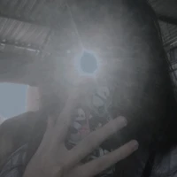 t/g thích ngủ và ăn