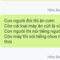 Hệ thống xàm l*n