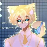 hiha anti catnap